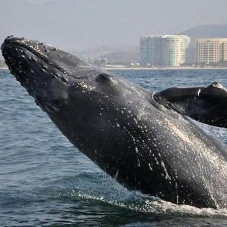 Lovely 3 Bedroom Condo With Pool Ixtapa (Guerrero) Exterior foto