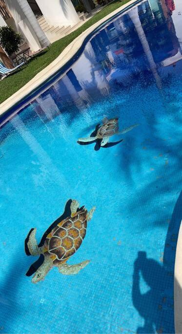 Lovely 3 Bedroom Condo With Pool Ixtapa (Guerrero) Exterior foto